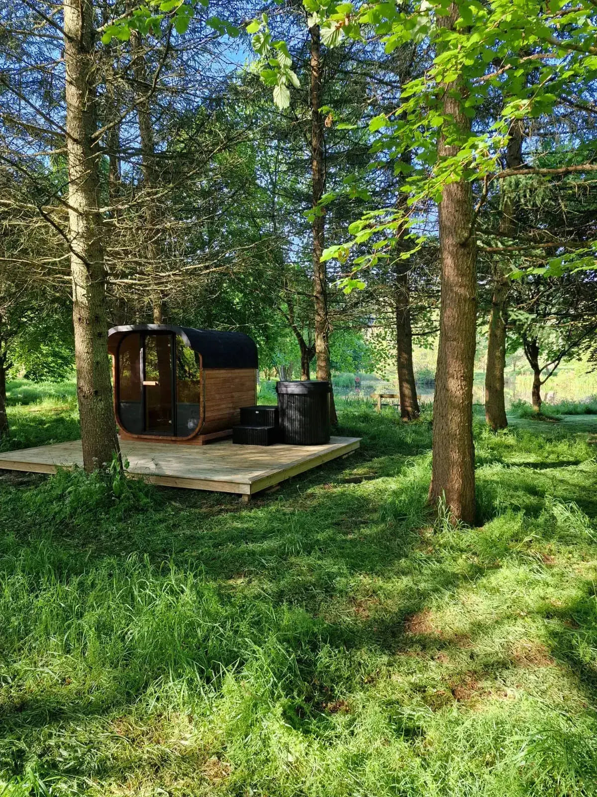Woodpecker 2024 Cube Sauna surrounded by trees