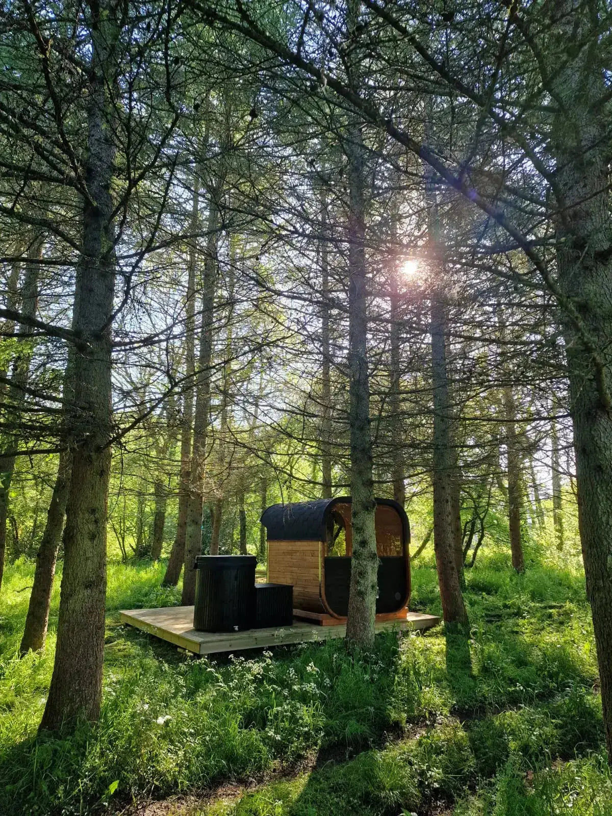 Woodpecker 2024 Cube Sauna in a wooded area
